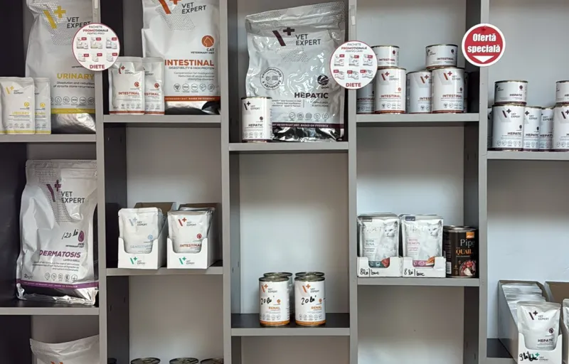 All About Pets – Cabinet Veterinar cover