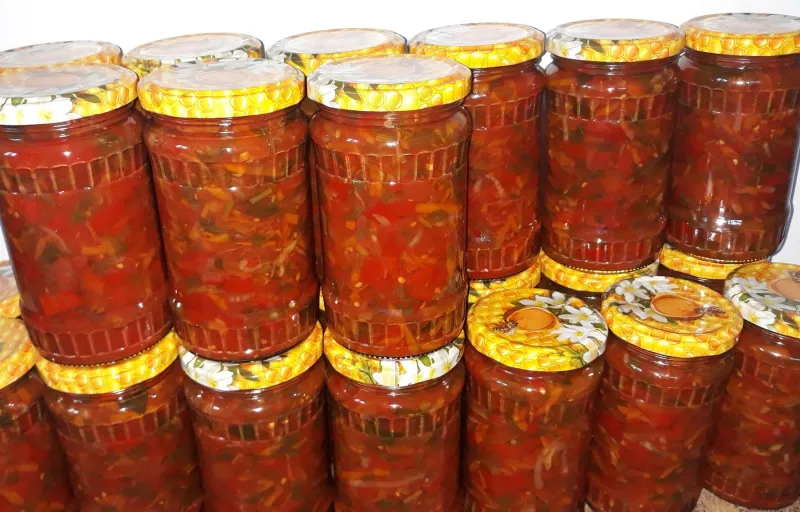 Cămara Dariei cover