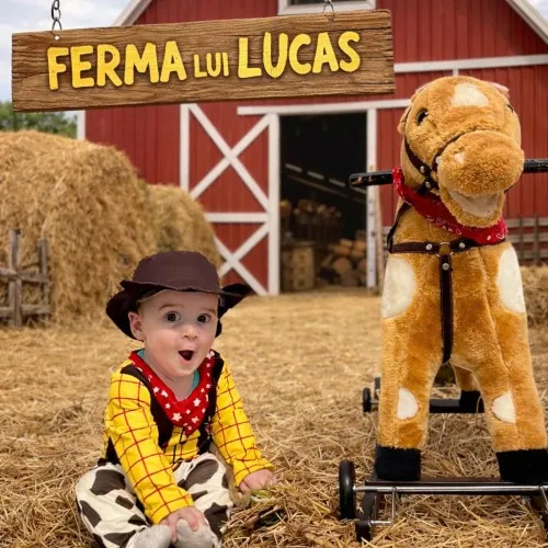 Ferma Lui Lucas