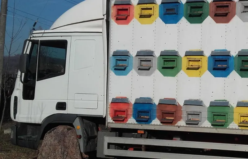 Stelu Curalea Apicultorul