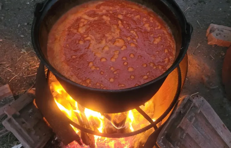 Bucătăria lui Camelia