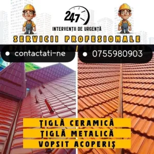 Montaj-Reparatii Acoperisul Ideal