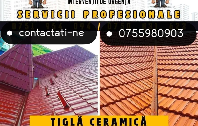 Montaj-Reparatii Acoperisul Ideal