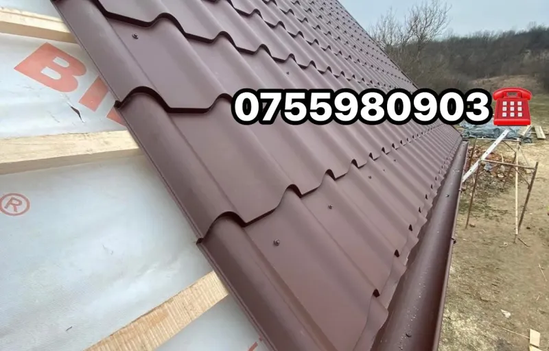 Montaj-Reparatii Acoperisul Ideal