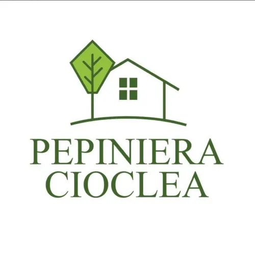 Pepiniera Cioclea