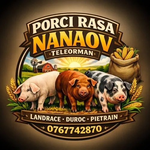 Porci Rasa Nanov Teleorman