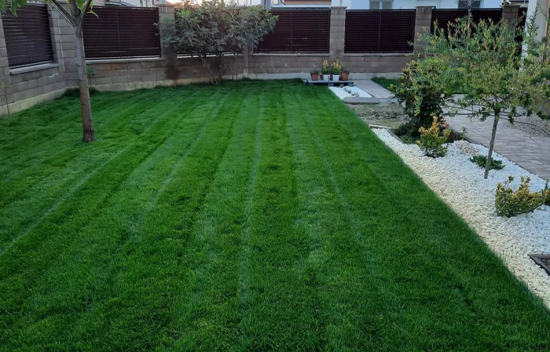 Marius-Sorin Gazon-Irigatii