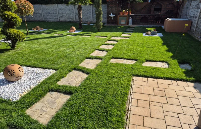 Marius-Sorin Gazon-Irigatii