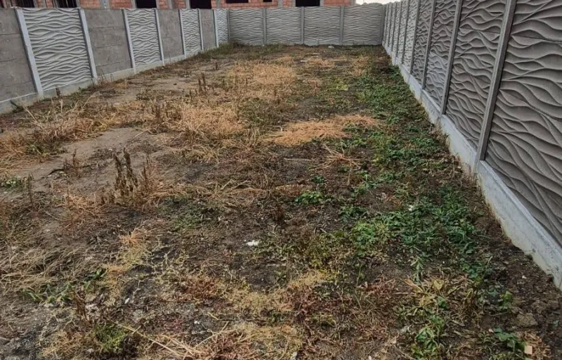 Marius-Sorin Gazon-Irigatii