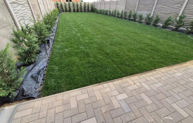 Marius-Sorin Gazon-Irigatii