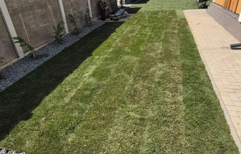 Marius-Sorin Gazon-Irigatii