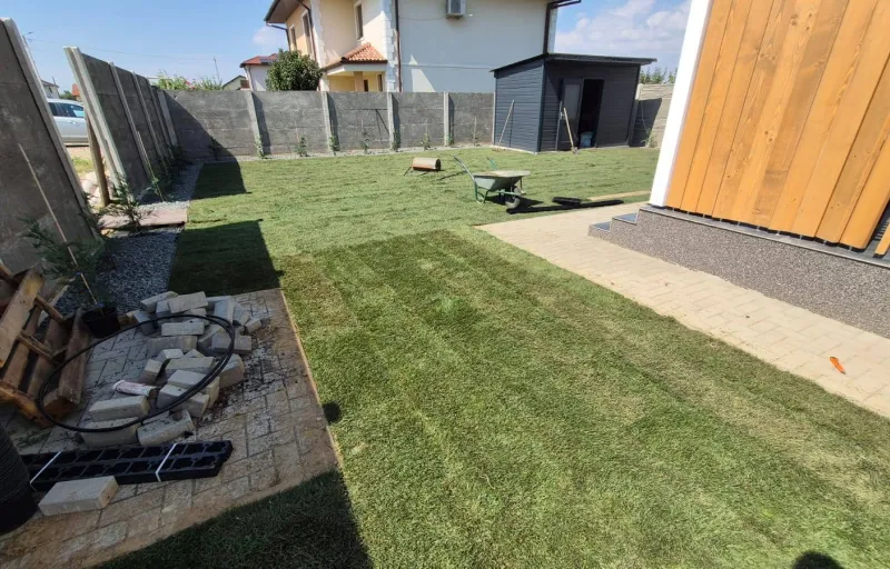 Marius-Sorin Gazon-Irigatii