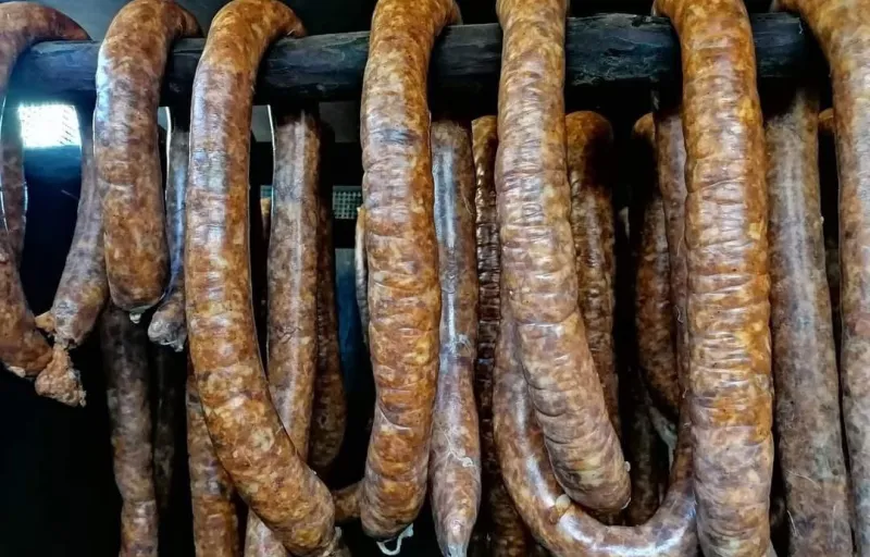 Porci Duroc Caransebeș