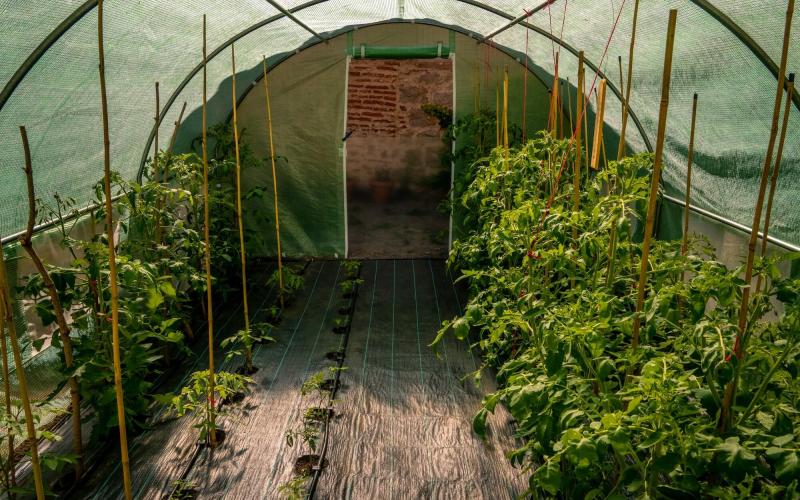 Cum să îți construiești un solar în grădină pas cu pas