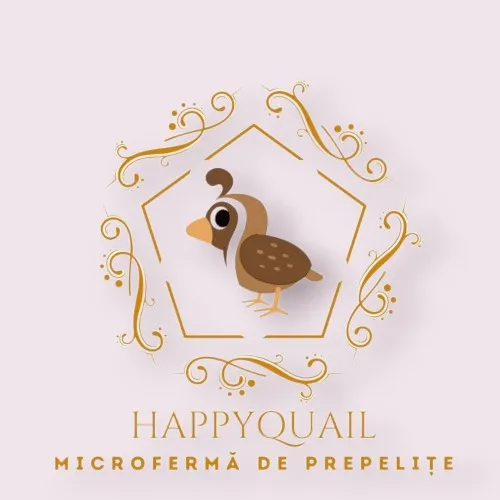 HappyQuail – ouă de prepeliță proaspete, direct de la producător