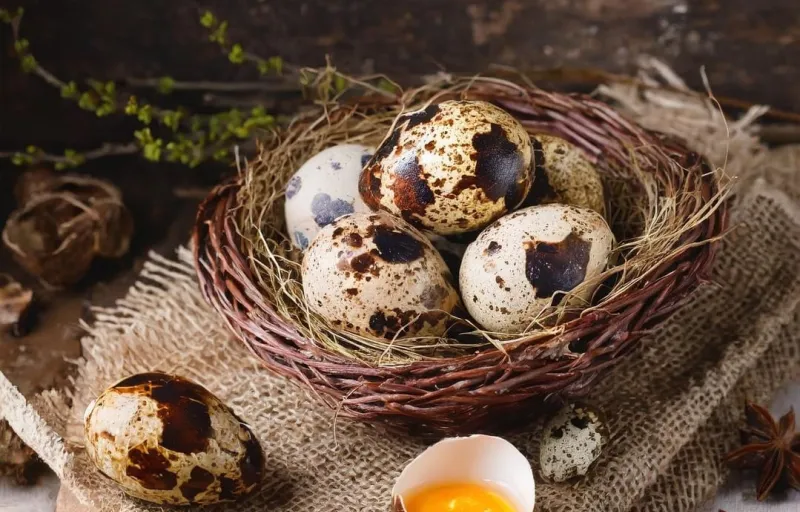 HappyQuail – ouă de prepeliță proaspete, direct de la producător