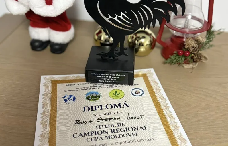 Păsări ornamentale, găini decorative