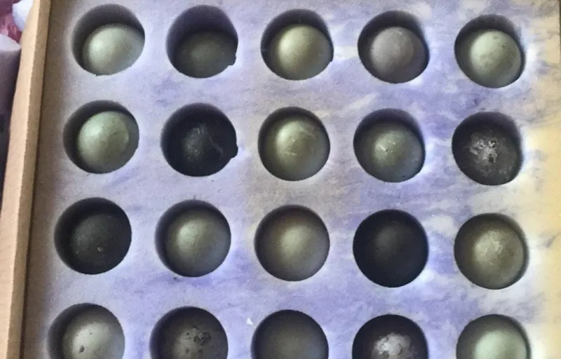 Păsări ornamentale, găini decorative