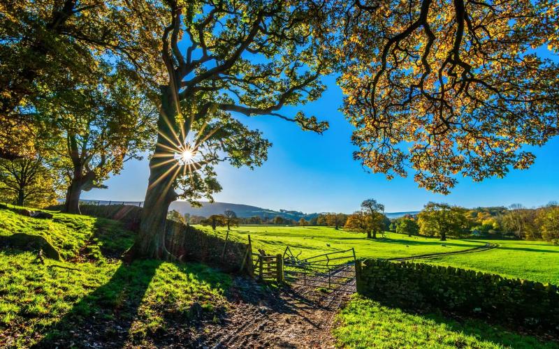 Pași legali ca să devii fermier (începe de aici – durează 1-2 luni)