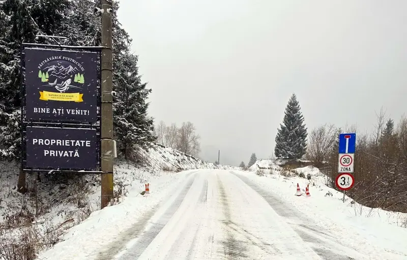 Păstrăvăria Pustnicului – Păstrăv Proaspăt, Zacuscă de Păstrăv, Ic re și Produse Naturale din Parcul Național Ceahlău