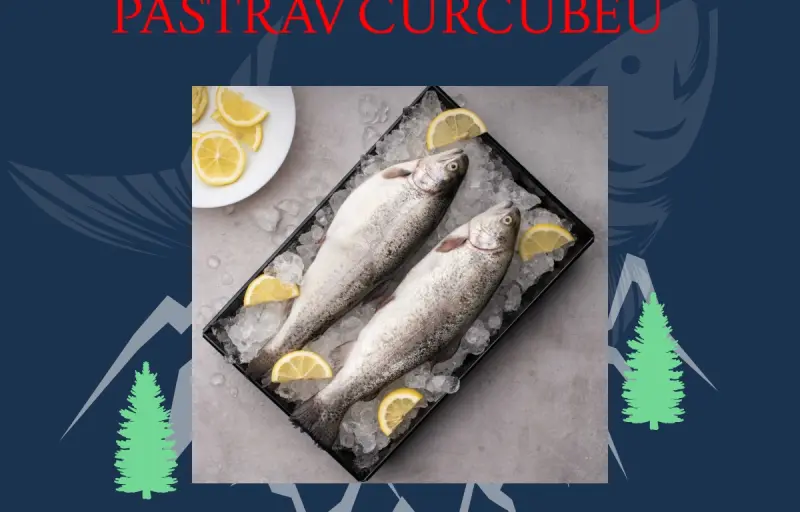 Păstrăvăria Pustnicului – Păstrăv Proaspăt, Zacuscă de Păstrăv, Ic re și Produse Naturale din Parcul Național Ceahlău