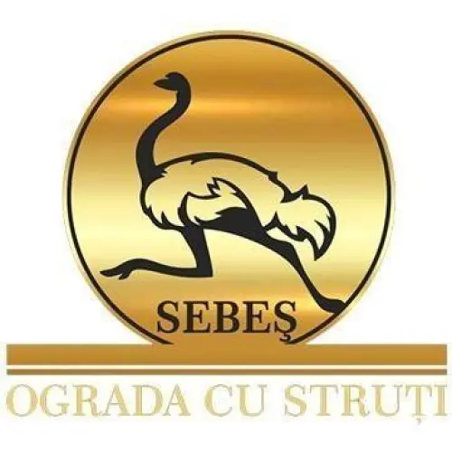 Ograda cu Struti Sebes - Ferma de Struti, Carne de Struț, Ouă de Struț și Produse Naturale din Alba
