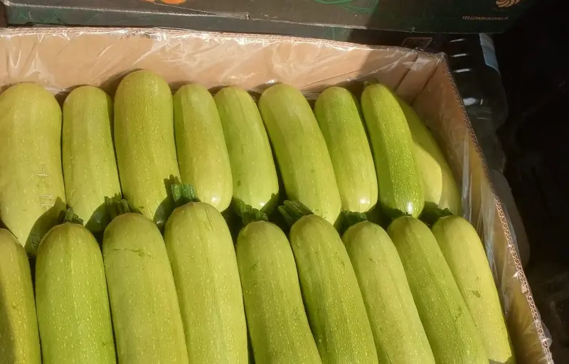 Legume proaspete de seră – Salată verde, Dovlecei, Ridichi și Ceapă verde | Producător local