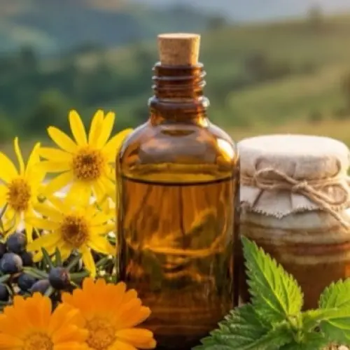 Plante Medicinale Bihor – Tincturi, Ceaiuri și Siropuri Naturale din Munții Apuseni