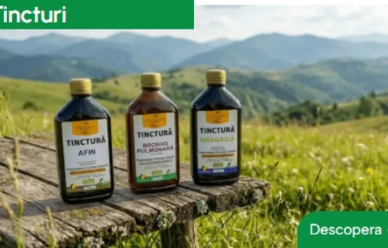 Plante Medicinale Bihor – Tincturi, Ceaiuri și Siropuri Naturale din Munții Apuseni