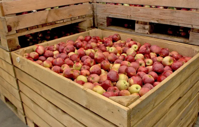 Natural Livada CINCU Brașov – Mere Naturale din Livadă Locală | Soiuri Diverse și Gust Autentic