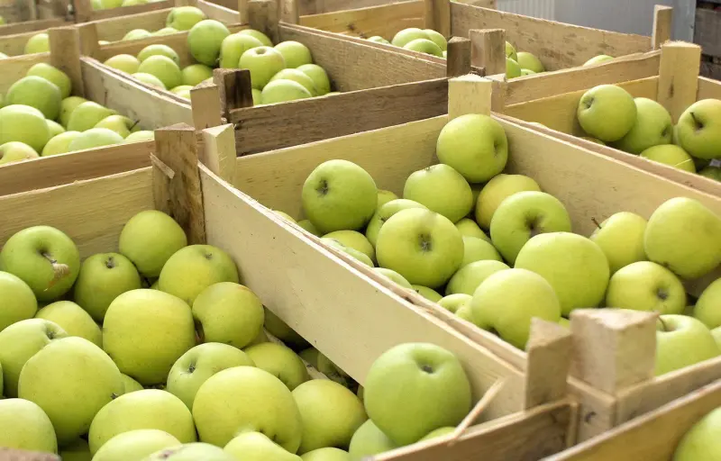 Natural Livada CINCU Brașov – Mere Naturale din Livadă Locală | Soiuri Diverse și Gust Autentic