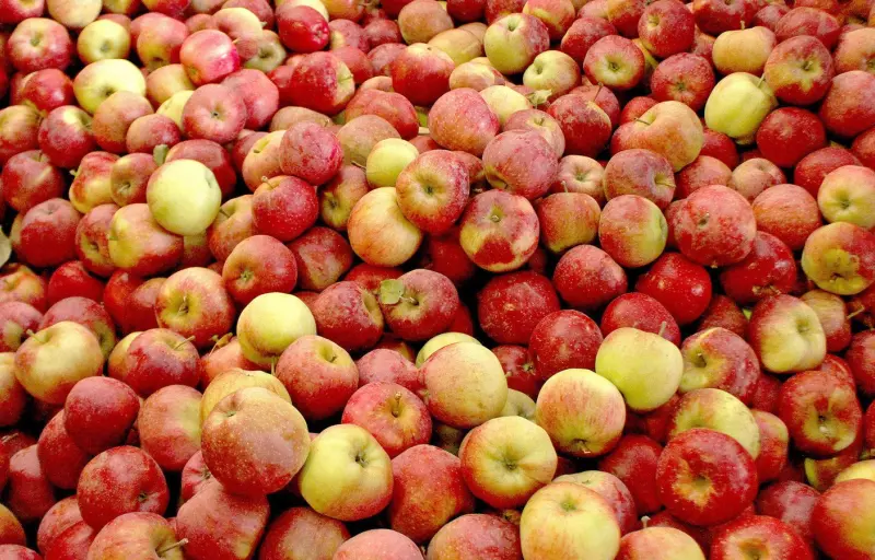 Natural Livada CINCU Brașov – Mere Naturale din Livadă Locală | Soiuri Diverse și Gust Autentic