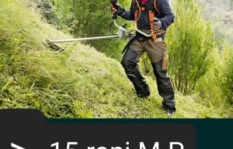 Servicii profesionale de tăiat iarbă și cosit mecanic cover