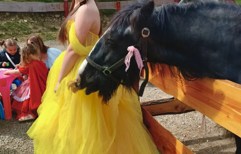 Ograda Fermecată – Grădină Zoologică & Fermă de Animale