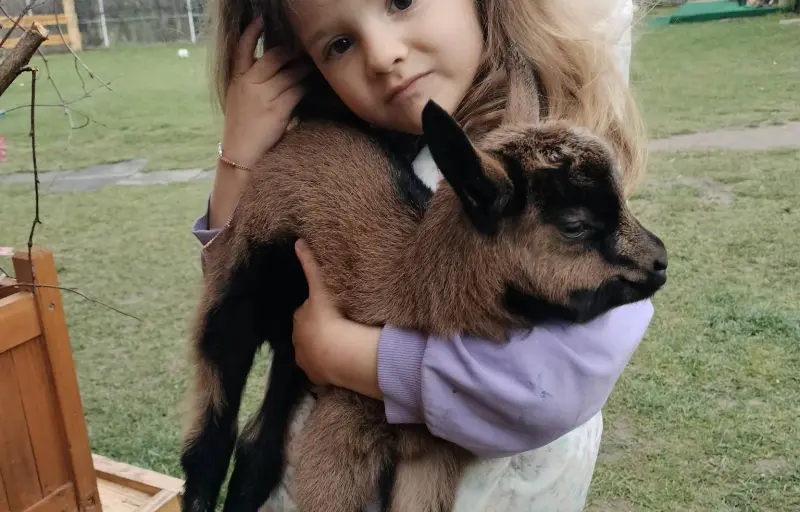 Ograda Fermecată – Grădină Zoologică & Fermă de Animale